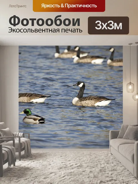 Фотообои Грейлаг Гусь