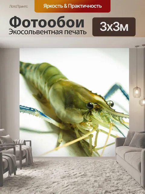 Фотообои Свежие приготовленные креветки фон мореп