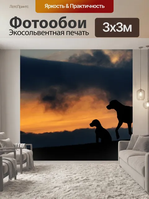 Фотообои Силуэт