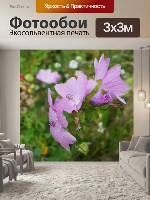 Фотообои Цветы