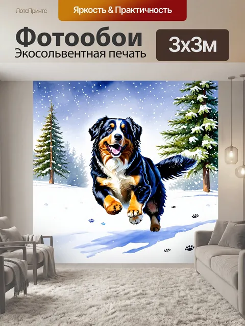 Фотообои собака бернской зенненхунд, с азартом прыгающая в снегу, оставляя за собой следы