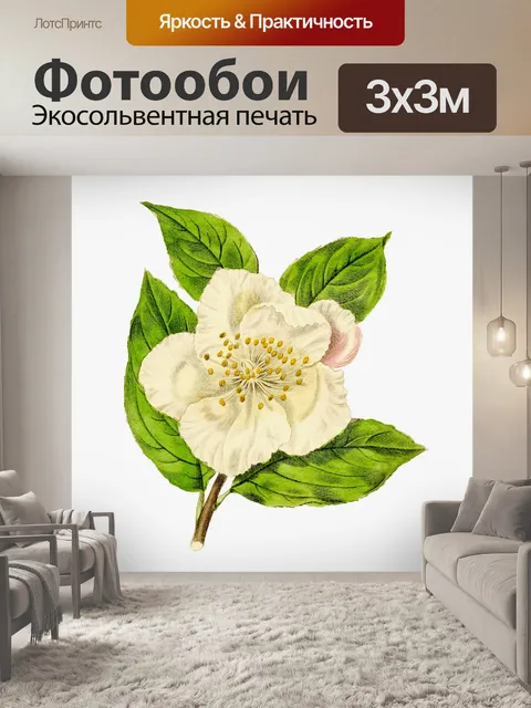 Фотообои Цветы клипарт графический рисунок