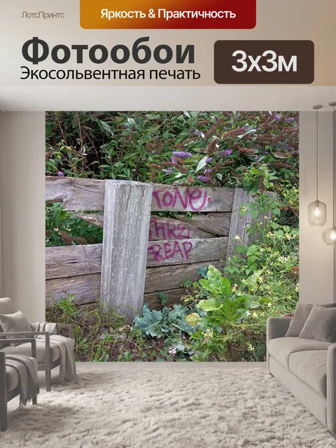 Фотообои граффити на прогулке по дереву