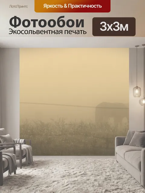 Фотообои Лошадь