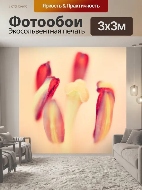 Фотообои Тюльпан