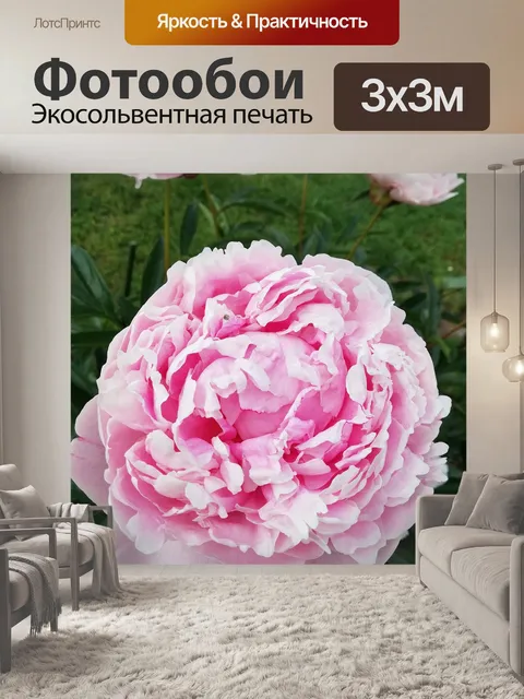 Фотообои Пион