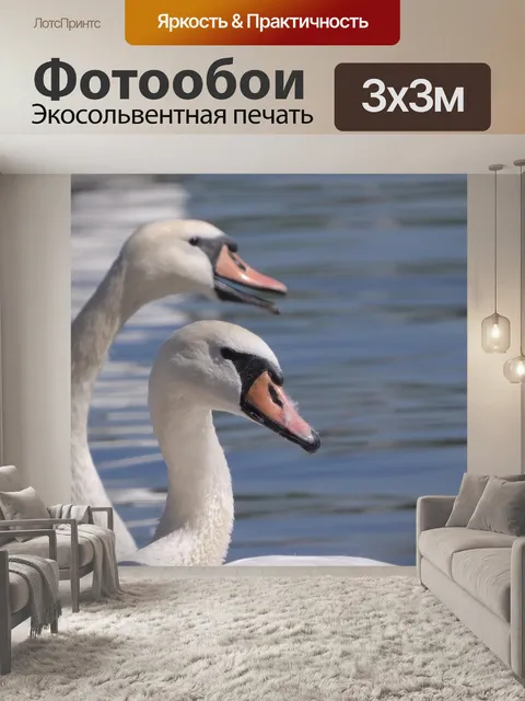 Фотообои Лебеди