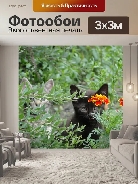 Фотообои Цветы