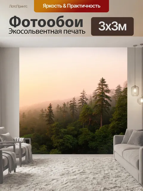 Фотообои рассвет над массивом лесов, когда небо наполняется нежными оттенками, а мягкий свет освещает листву