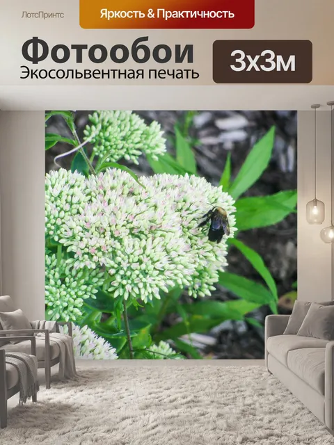 Фотообои Цветы