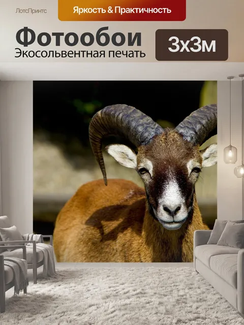 Фотообои Природа