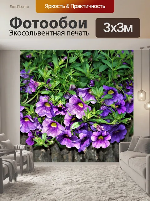 Фотообои Каскадные фиолетовые петунии