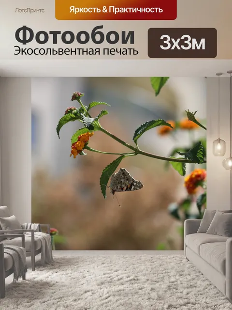Фотообои Бабочка