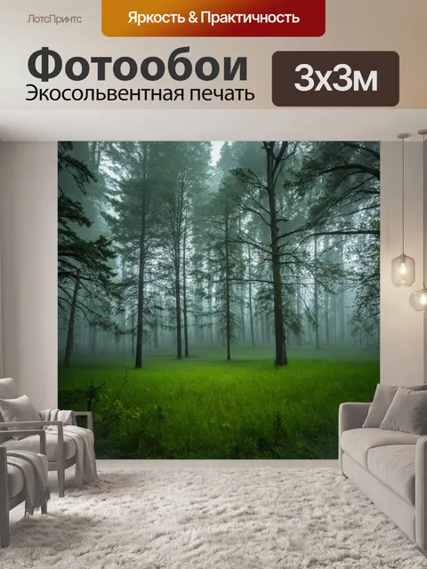 Фотообои лес с завуалированным туманом, окутывающим деревья и поляну