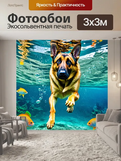 Фотообои овчарка ныряет под воду в прозрачной реке, играя и радуясь жизни