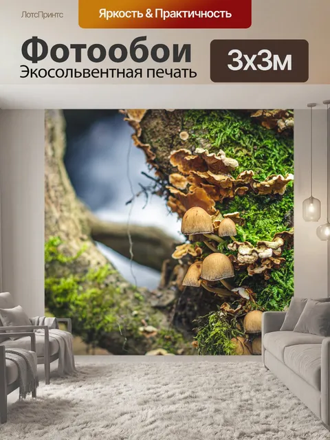 Фотообои Вода