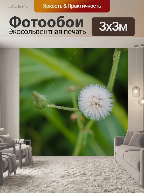 Фотообои Одуванчик