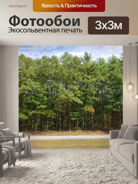 Фотообои Стенд зеленых деревьев Пейзаж
