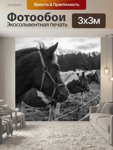 Фотообои Лошадь