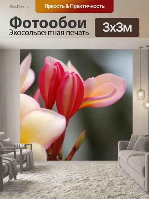 Фотообои Цветок
