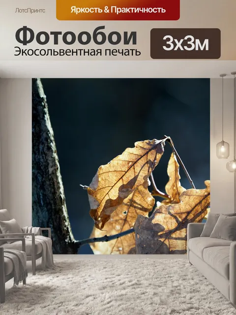 Фотообои Листья