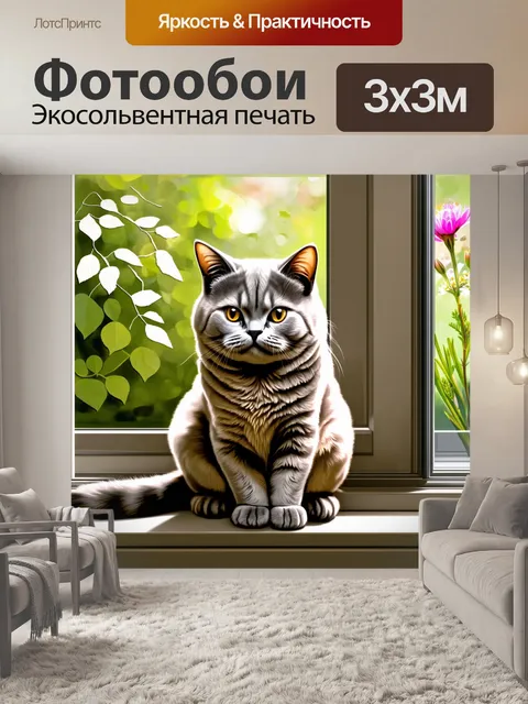 Фотообои британская короткошерстная кошка сидит на подоконнике, излучая элегантность