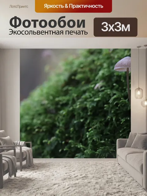 Фотообои Гриб