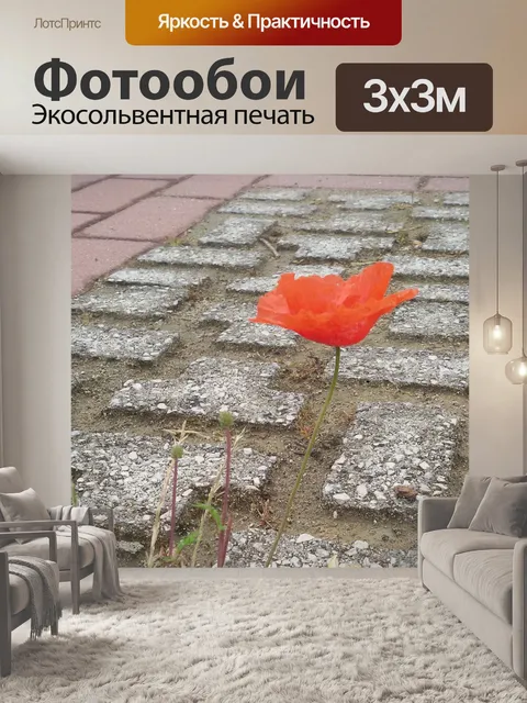 Фотообои Дикий мак в городе