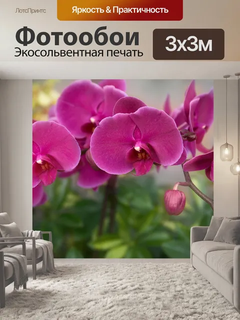 Фотообои Цветы