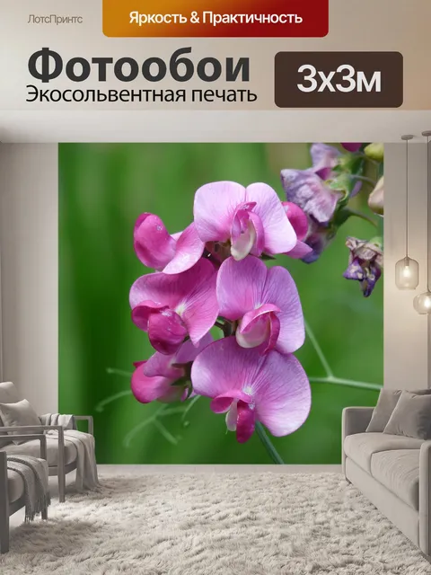 Фотообои Вика