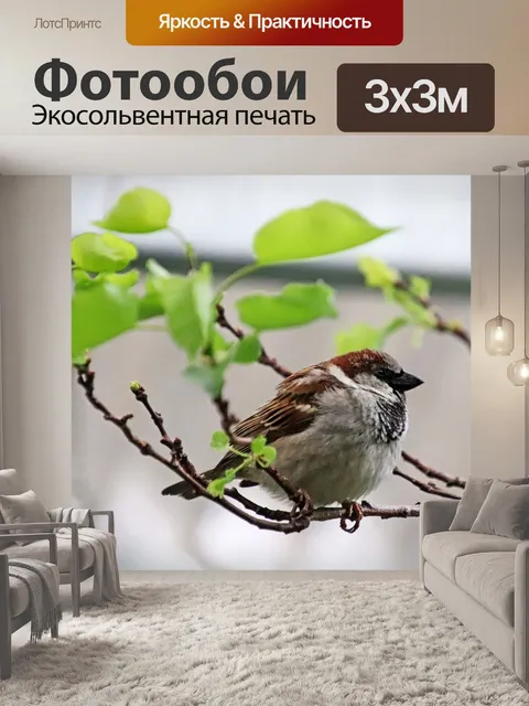 Фотообои Птица