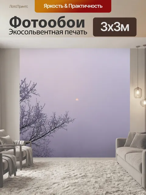 Фотообои Зима