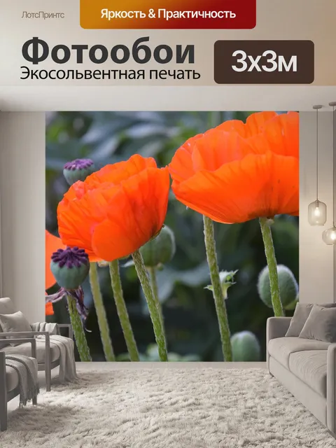 Фотообои Маки