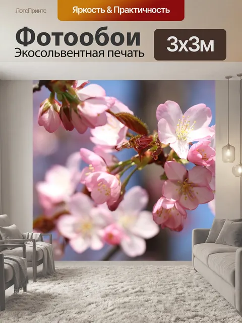 Фотообои Сакура