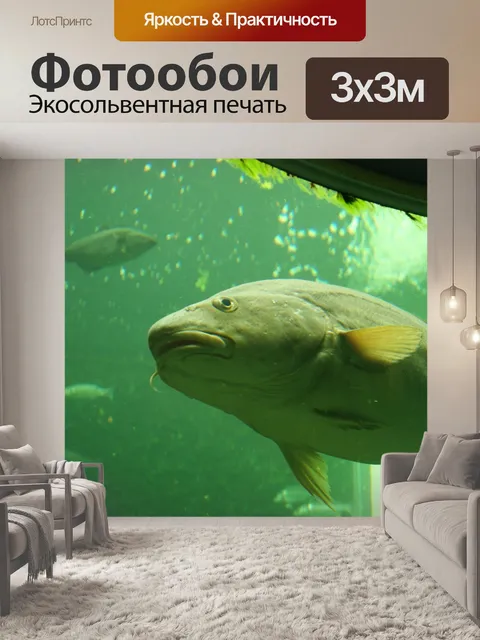 Фотообои Рыбы