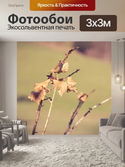 Фотообои Листья