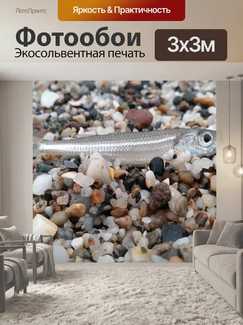 Фотообои Рыба