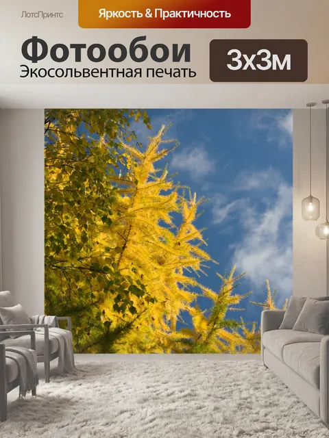 Фотообои Осень