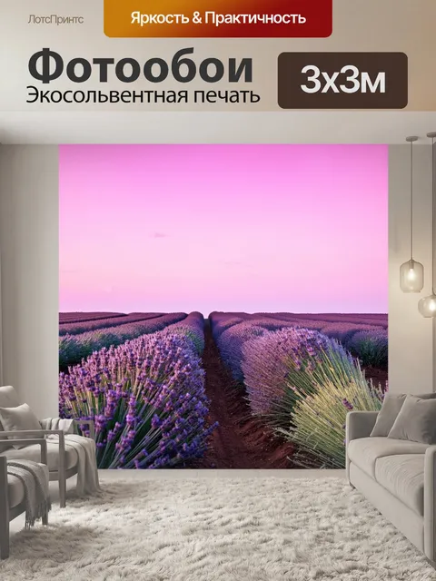 Фотообои спокойный розовый октябрин над полем лавандовых растений