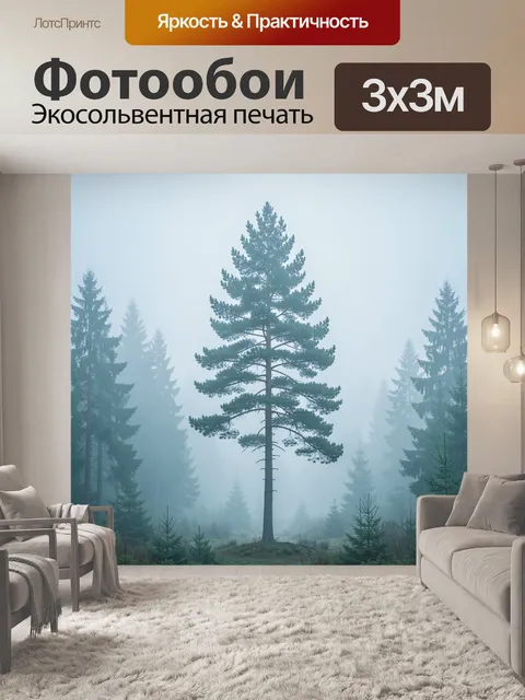 Фотообои Туманный хвойный лес