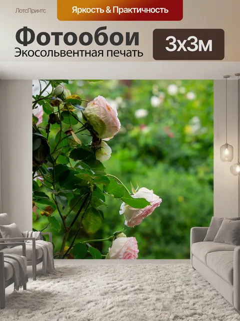 Фотообои Розы
