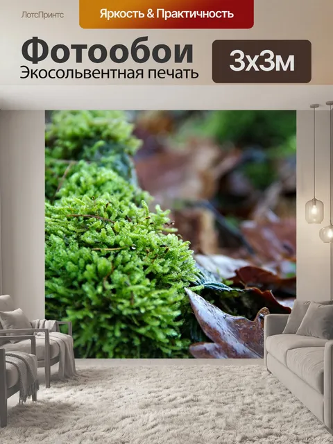 Фотообои Мох