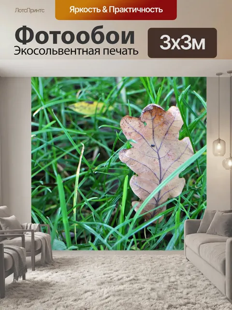 Фотообои Листья