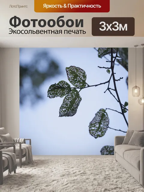Фотообои Лист