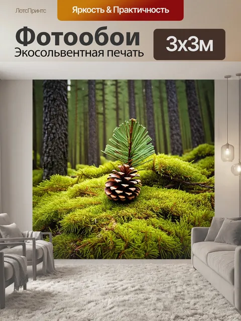 Фотообои в густом сосновом лесу