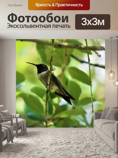 Фотообои Птица