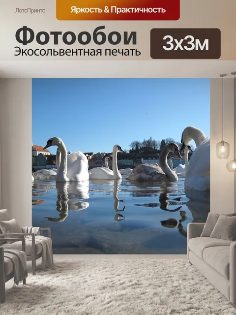 Фотообои Лебеди