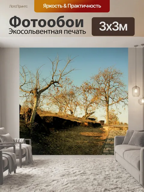 Фотообои Лесные Путь