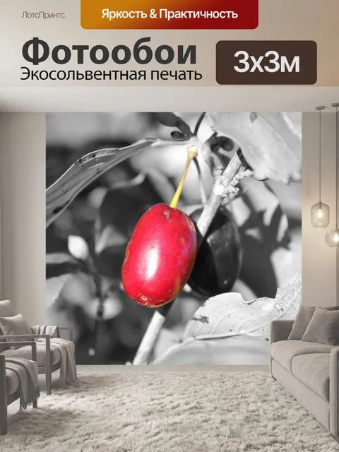 Фотообои Природа