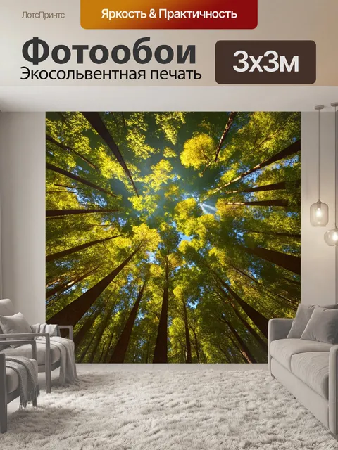 Фотообои густая лесная чаща под солнечными лучами, где деревья образуют естественный потолок